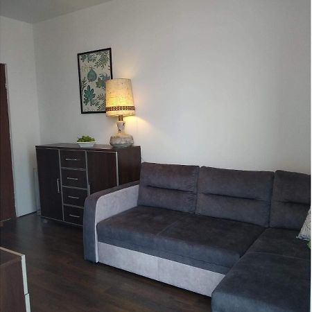 Sunny Penthouse With Roof Gardens Overlooking The Warsaw Palace Of Culture Pruszków Esterno foto