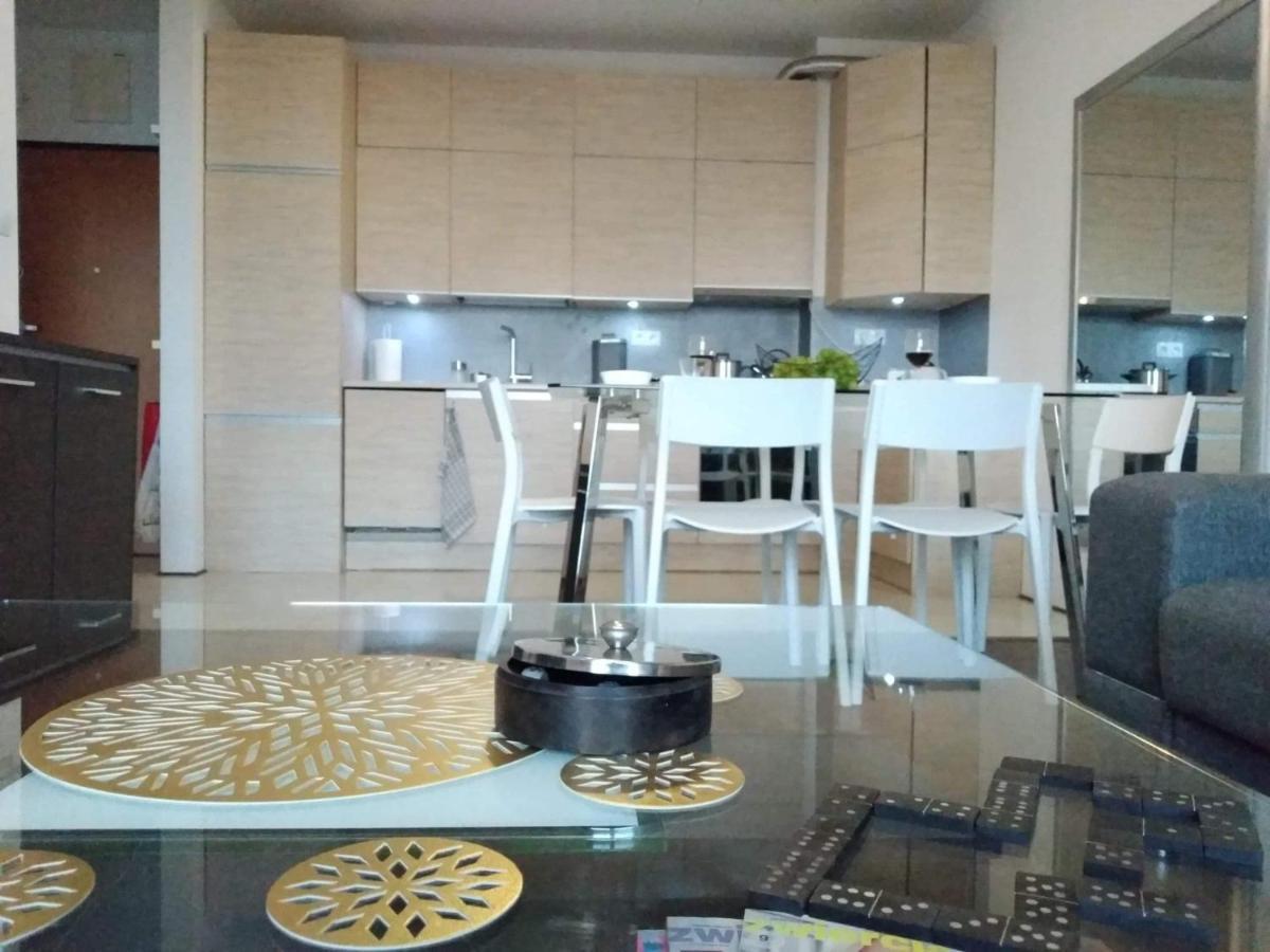 Sunny Penthouse With Roof Gardens Overlooking The Warsaw Palace Of Culture Pruszków Esterno foto