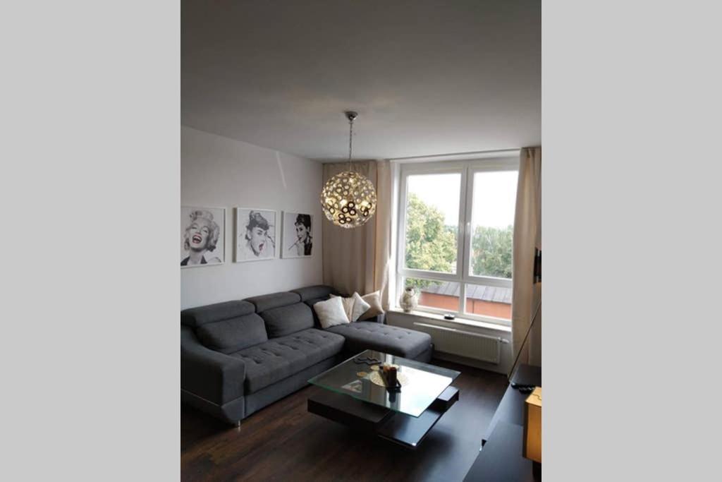 Sunny Penthouse With Roof Gardens Overlooking The Warsaw Palace Of Culture Pruszków Esterno foto